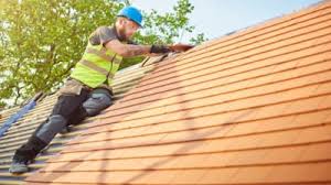 Best Roof Moss and Algae Removal  in Winnemucca, NV