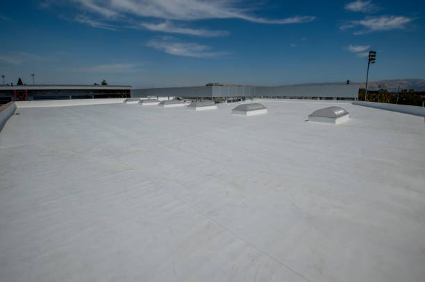 Best Rubber Roofing (EPDM, TPO)  in Winnemucca, NV