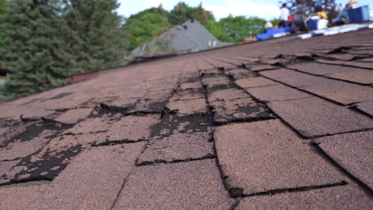 Best Green or Eco-Friendly Roofing Solutions  in Winnemucca, NV