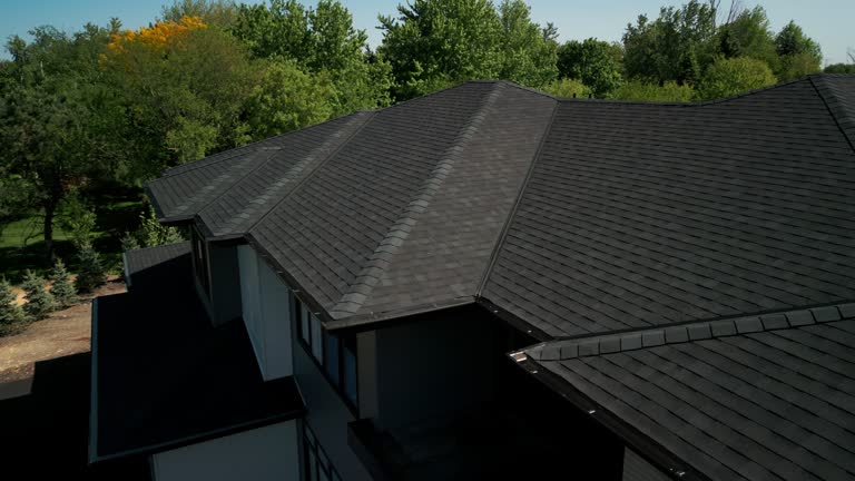 Best Asphalt Shingle Roofing  in Winnemucca, NV