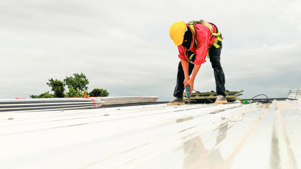 Best Tile Roofing Installation  in Winnemucca, NV
