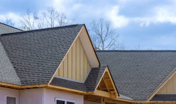 Best Asphalt Shingles Roofing  in Winnemucca, NV