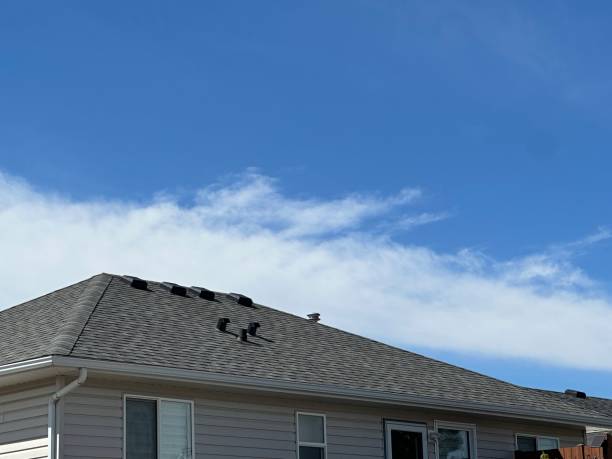 Fast & Reliable Emergency Roof Repairs in Winnemucca, NV
